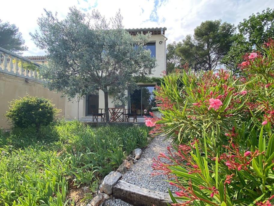 Lis Estello - Gite A Flayosc Var Exterior foto